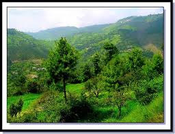 Himachal Pradesh Tour Packages